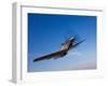 A P-51D Mustang in Flight-Stocktrek Images-Framed Photographic Print