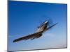 A P-51D Mustang in Flight-Stocktrek Images-Mounted Photographic Print