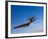 A P-51D Mustang in Flight-Stocktrek Images-Framed Photographic Print