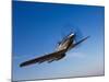 A P-51D Mustang in Flight-Stocktrek Images-Mounted Photographic Print