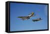 A P-51D Mustang Kimberly Kaye and a P-40E Warhawk in Flight-null-Framed Stretched Canvas