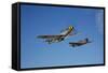 A P-51D Mustang Kimberly Kaye and a P-40E Warhawk in Flight-null-Framed Stretched Canvas