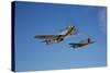 A P-51D Mustang Kimberly Kaye and a P-40E Warhawk in Flight-null-Stretched Canvas