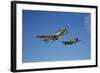 A P-51D Mustang Kimberly Kaye and a P-40E Warhawk in Flight-null-Framed Photographic Print