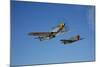 A P-51D Mustang Kimberly Kaye and a P-40E Warhawk in Flight-null-Mounted Photographic Print