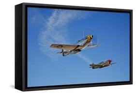 A P-51D Mustang Kimberly Kaye and a P-40E Warhawk in Flight-null-Framed Stretched Canvas