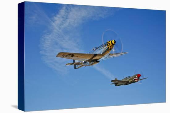 A P-51D Mustang Kimberly Kaye and a P-40E Warhawk in Flight-null-Stretched Canvas