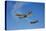 A P-51D Mustang Kimberly Kaye and a P-40E Warhawk in Flight-null-Stretched Canvas