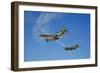 A P-51D Mustang Kimberly Kaye and a P-40E Warhawk in Flight-null-Framed Photographic Print