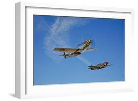 A P-51D Mustang Kimberly Kaye and a P-40E Warhawk in Flight-null-Framed Photographic Print