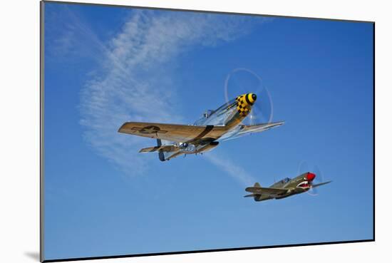 A P-51D Mustang Kimberly Kaye and a P-40E Warhawk in Flight-null-Mounted Photographic Print