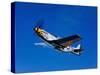 A P-51D Mustang Kimberly Kaye in Flight-Stocktrek Images-Stretched Canvas