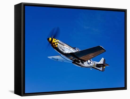 A P-51D Mustang Kimberly Kaye in Flight-Stocktrek Images-Framed Stretched Canvas