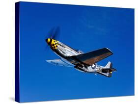 A P-51D Mustang Kimberly Kaye in Flight-Stocktrek Images-Stretched Canvas