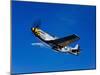 A P-51D Mustang Kimberly Kaye in Flight-Stocktrek Images-Mounted Photographic Print