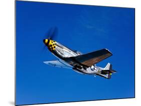 A P-51D Mustang Kimberly Kaye in Flight-Stocktrek Images-Mounted Photographic Print