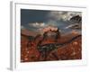 A Pack of Allosaurus Dinosaurs Track Down a Pair of Stegosaurus-Stocktrek Images-Framed Photographic Print