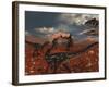 A Pack of Allosaurus Dinosaurs Track Down a Pair of Stegosaurus-Stocktrek Images-Framed Photographic Print