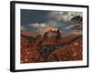 A Pack of Allosaurus Dinosaurs Track Down a Pair of Stegosaurus-Stocktrek Images-Framed Photographic Print