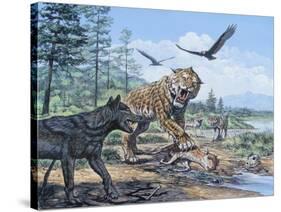 A Pack of Canis Dirus Wolves Approach a Smilodon and its Prey-null-Stretched Canvas