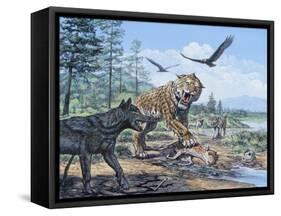 A Pack of Canis Dirus Wolves Approach a Smilodon and its Prey-null-Framed Stretched Canvas