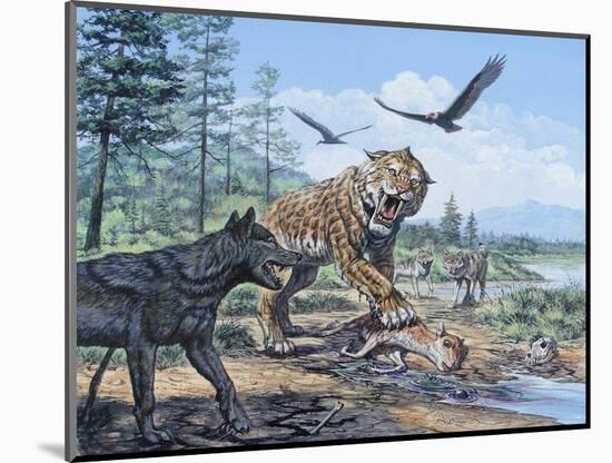 A Pack of Canis Dirus Wolves Approach a Smilodon and its Prey-null-Mounted Art Print