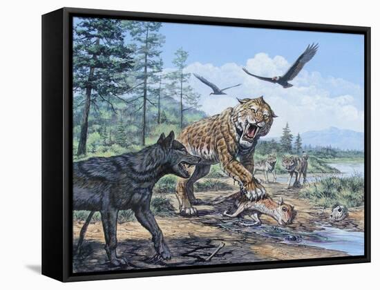 A Pack of Canis Dirus Wolves Approach a Smilodon and its Prey-null-Framed Stretched Canvas