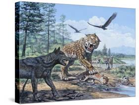 A Pack of Canis Dirus Wolves Approach a Smilodon and its Prey-null-Stretched Canvas