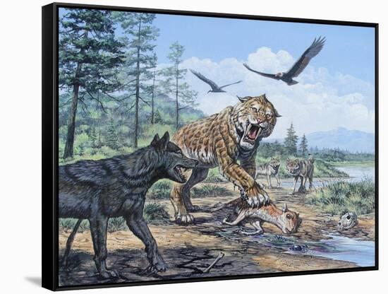 A Pack of Canis Dirus Wolves Approach a Smilodon and its Prey-null-Framed Stretched Canvas