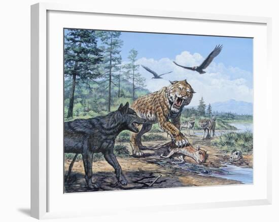 A Pack of Canis Dirus Wolves Approach a Smilodon and its Prey-null-Framed Art Print