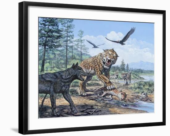 A Pack of Canis Dirus Wolves Approach a Smilodon and its Prey-null-Framed Art Print