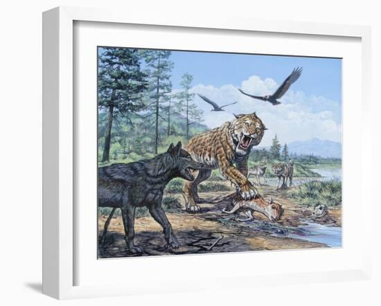 A Pack of Canis Dirus Wolves Approach a Smilodon and its Prey-null-Framed Art Print