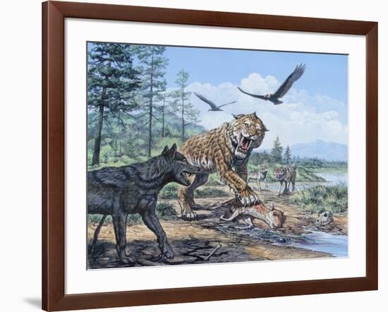 A Pack of Canis Dirus Wolves Approach a Smilodon and its Prey-null-Framed Art Print