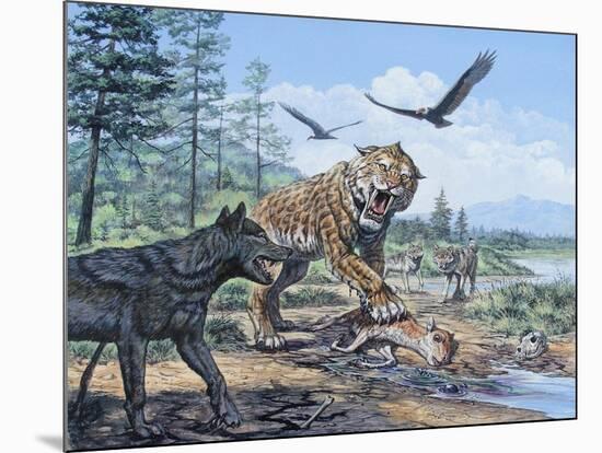 A Pack of Canis Dirus Wolves Approach a Smilodon and its Prey-null-Mounted Art Print
