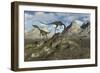 A Pack of Carnivorous Compsognathus Dinosaurs-Stocktrek Images-Framed Art Print