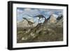 A Pack of Carnivorous Compsognathus Dinosaurs-Stocktrek Images-Framed Art Print