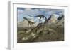 A Pack of Carnivorous Compsognathus Dinosaurs-Stocktrek Images-Framed Art Print