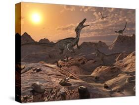 A Pack of Carnivorous Velociraptors from the Cretaceous Period on Earth-Stocktrek Images-Stretched Canvas