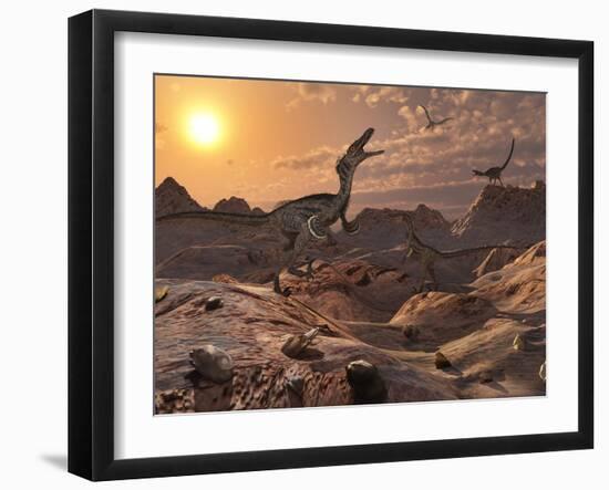 A Pack of Carnivorous Velociraptors from the Cretaceous Period on Earth-Stocktrek Images-Framed Photographic Print