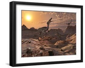 A Pack of Carnivorous Velociraptors from the Cretaceous Period on Earth-Stocktrek Images-Framed Photographic Print