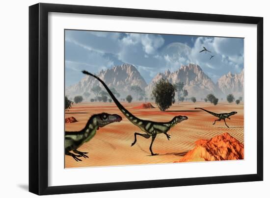 A Pack of Dilong Tyrannosaurid Dinosaurs Hunting-null-Framed Art Print