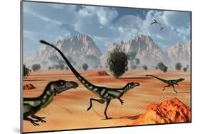 A Pack of Dilong Tyrannosaurid Dinosaurs Hunting-null-Mounted Art Print