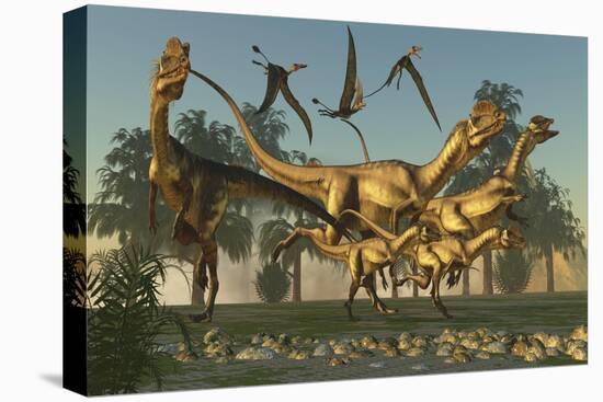 A Pack of Dilophosaurus Dinosaurs Hunting for Prey-null-Stretched Canvas