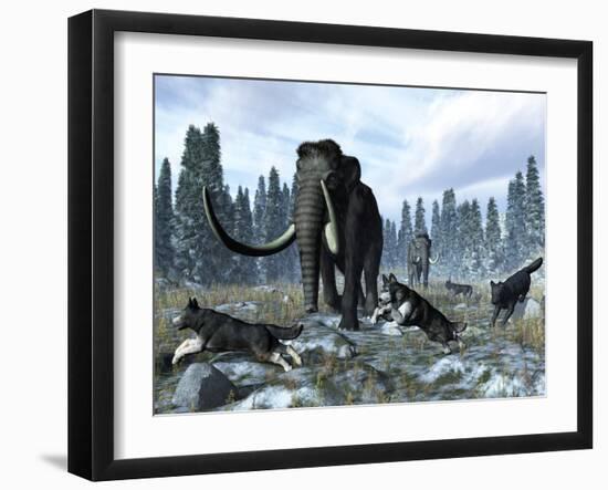 A Pack of Dire Wolves Crosses Paths with Two Mammoths During the Upper Pleistocene Epoch-Stocktrek Images-Framed Photographic Print