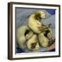 A Pack of Ferrets Clockwise from Top, Chewbacca, Hobart, Dixie B, Wolfgang Amadeaus Motzart-Carolyn Kaster-Framed Premium Photographic Print