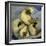 A Pack of Ferrets Clockwise from Top, Chewbacca, Hobart, Dixie B, Wolfgang Amadeaus Motzart-Carolyn Kaster-Framed Premium Photographic Print