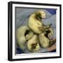 A Pack of Ferrets Clockwise from Top, Chewbacca, Hobart, Dixie B, Wolfgang Amadeaus Motzart-Carolyn Kaster-Framed Premium Photographic Print