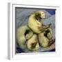 A Pack of Ferrets Clockwise from Top, Chewbacca, Hobart, Dixie B, Wolfgang Amadeaus Motzart-Carolyn Kaster-Framed Photographic Print