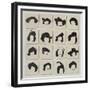 A Pack of Rembrandts, 2016-Holly Frean-Framed Giclee Print