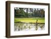 A Paddy Farmer at Work in a Rice Field, Sumba, Indonesia, Southeast Asia, Asia-James Morgan-Framed Photographic Print